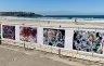 Bondi Beach exhibition
